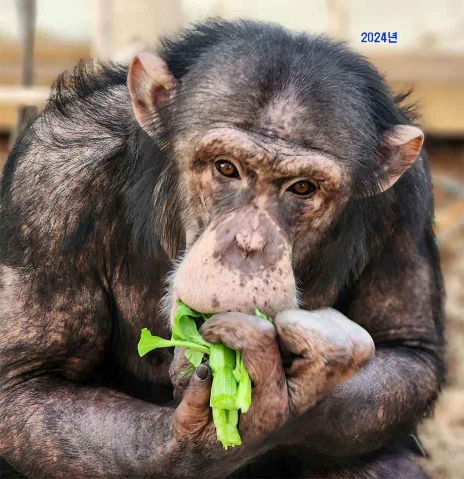 2024_%EA%B4%80%EB%B3%B5%EC%9D%B4.jpg?type=w1