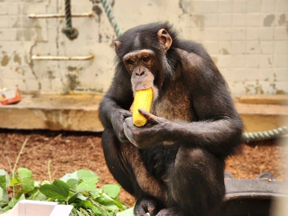 %EA%B4%91%EC%88%9C%EC%9D%B41.jpg?type=w1