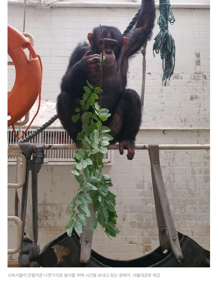 1_2309현황4_Screenshot 2023-09-23 at 20.34.31.JPG