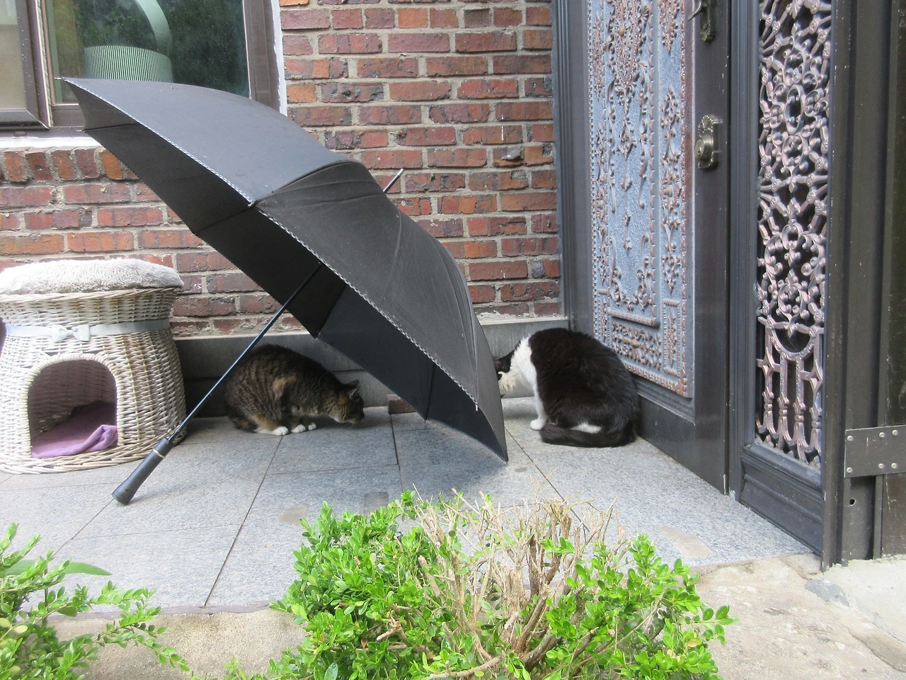 1_은애_목걸이_우산240512 (270).JPG