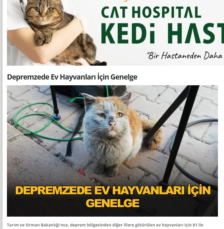 230308_%ED%84%B0%ED%82%A4%EA%B3%A0%EC%96%91%EC%9D%B4%EC%8B%A0%EB%AC%B8.JPG?type=w1