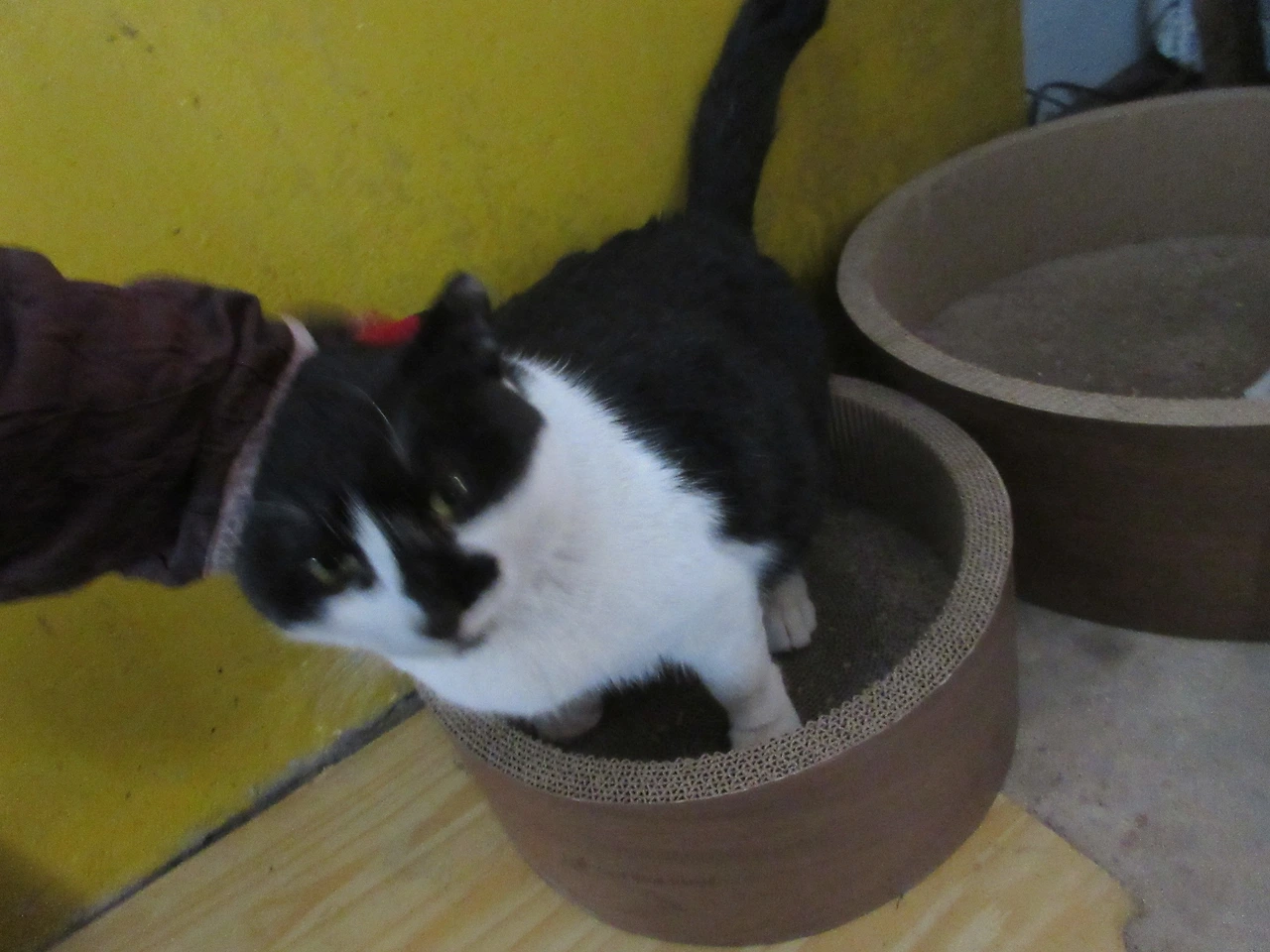 1_은애_쓰담2_240210 (128).JPG