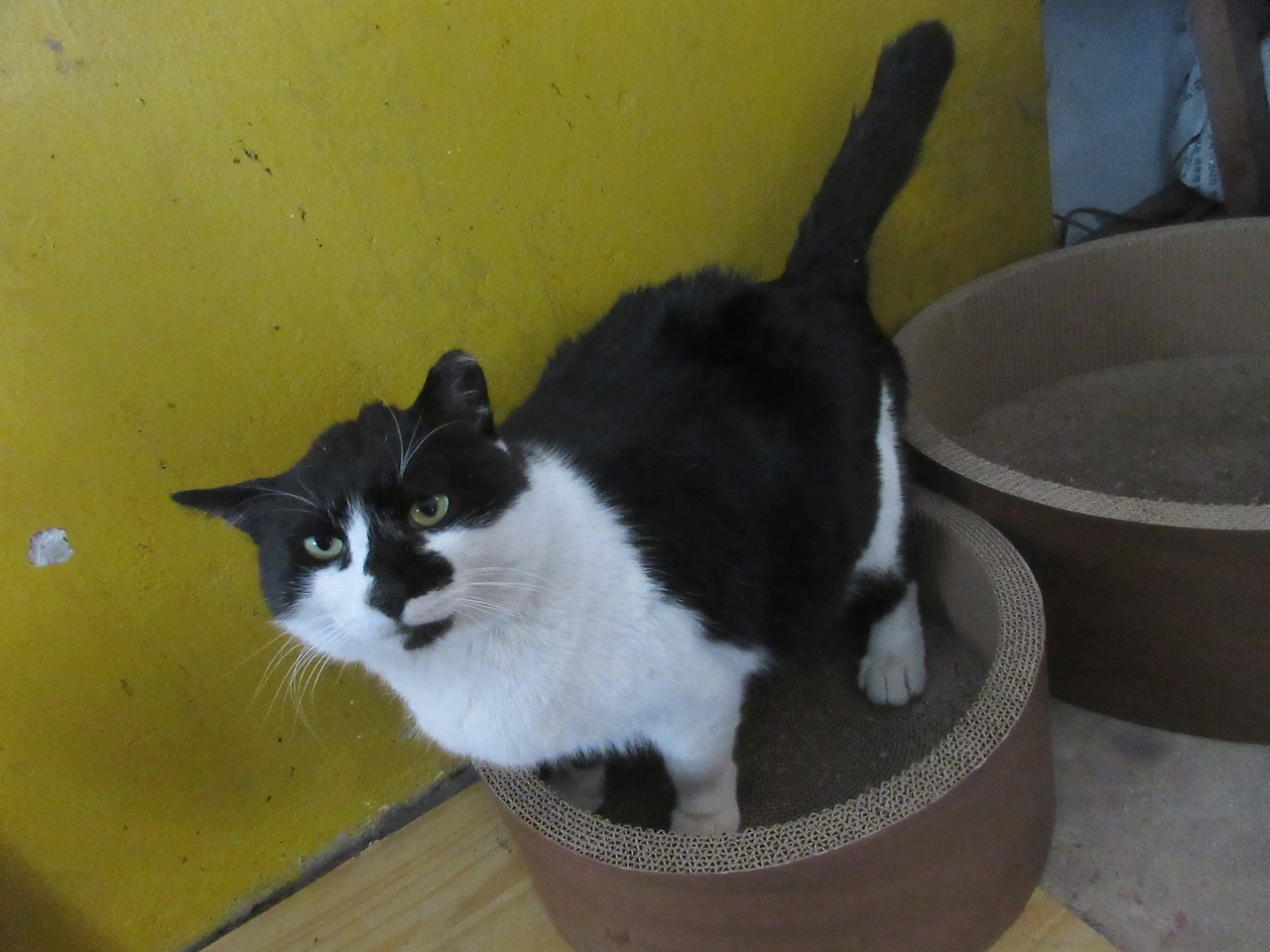 1_은애_쓰담_240210 (127).JPG