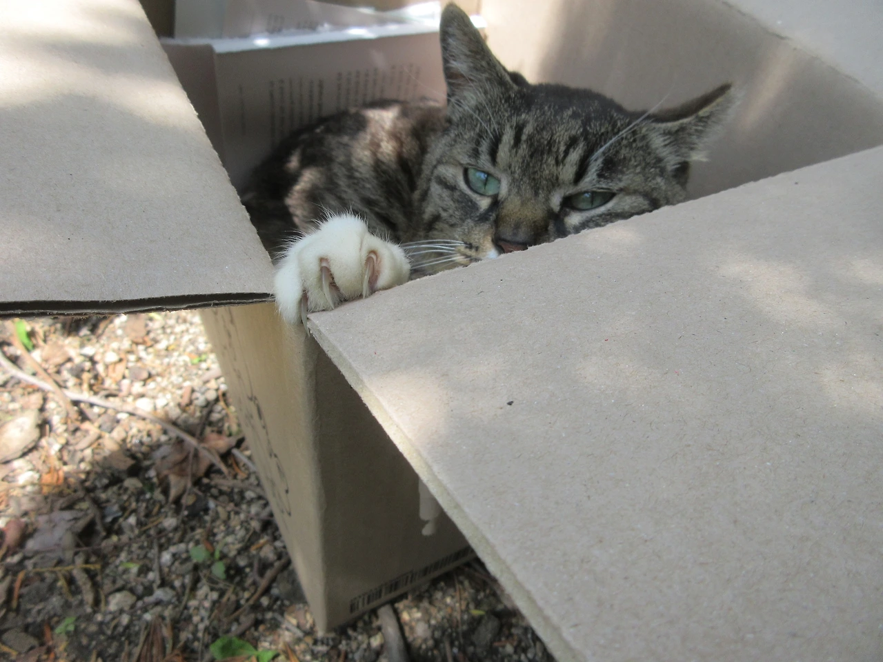 1목걸이4_고양이손_230505 (90).JPG