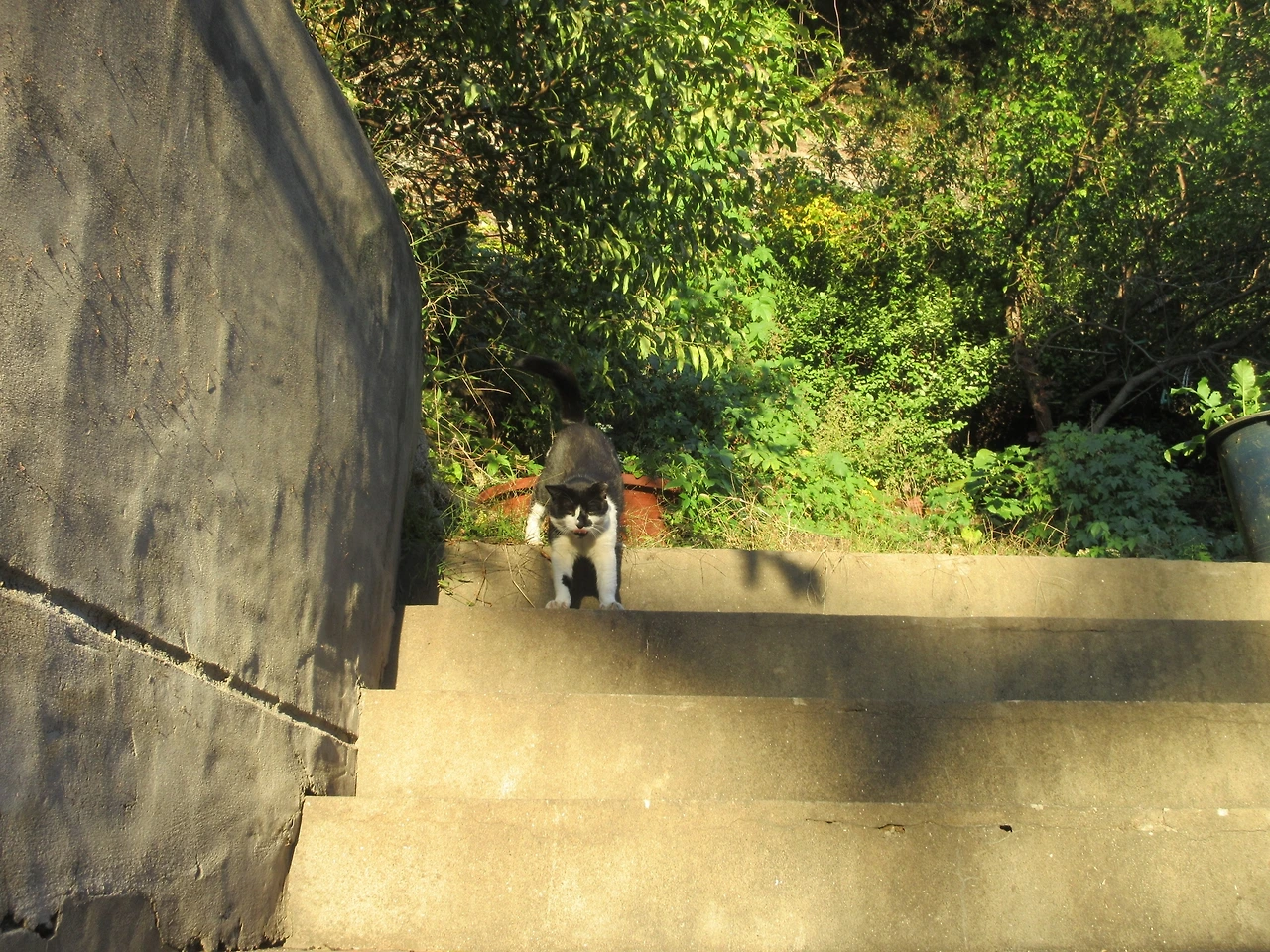 은애_작은귀_이른저녁밥_221019 (163).JPG