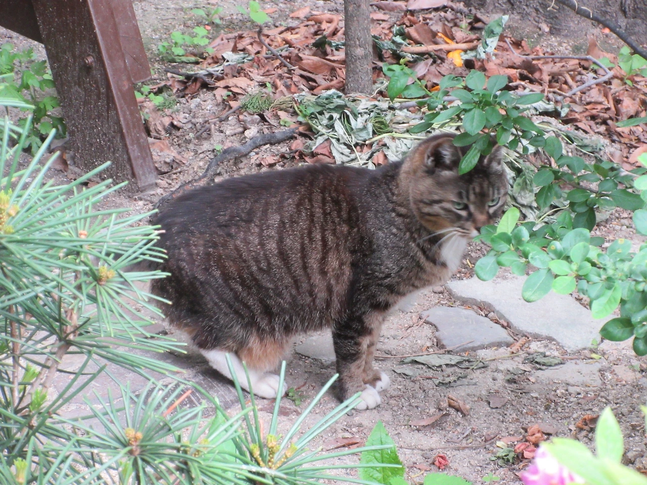 목걸이_왜_220510 (23).JPG