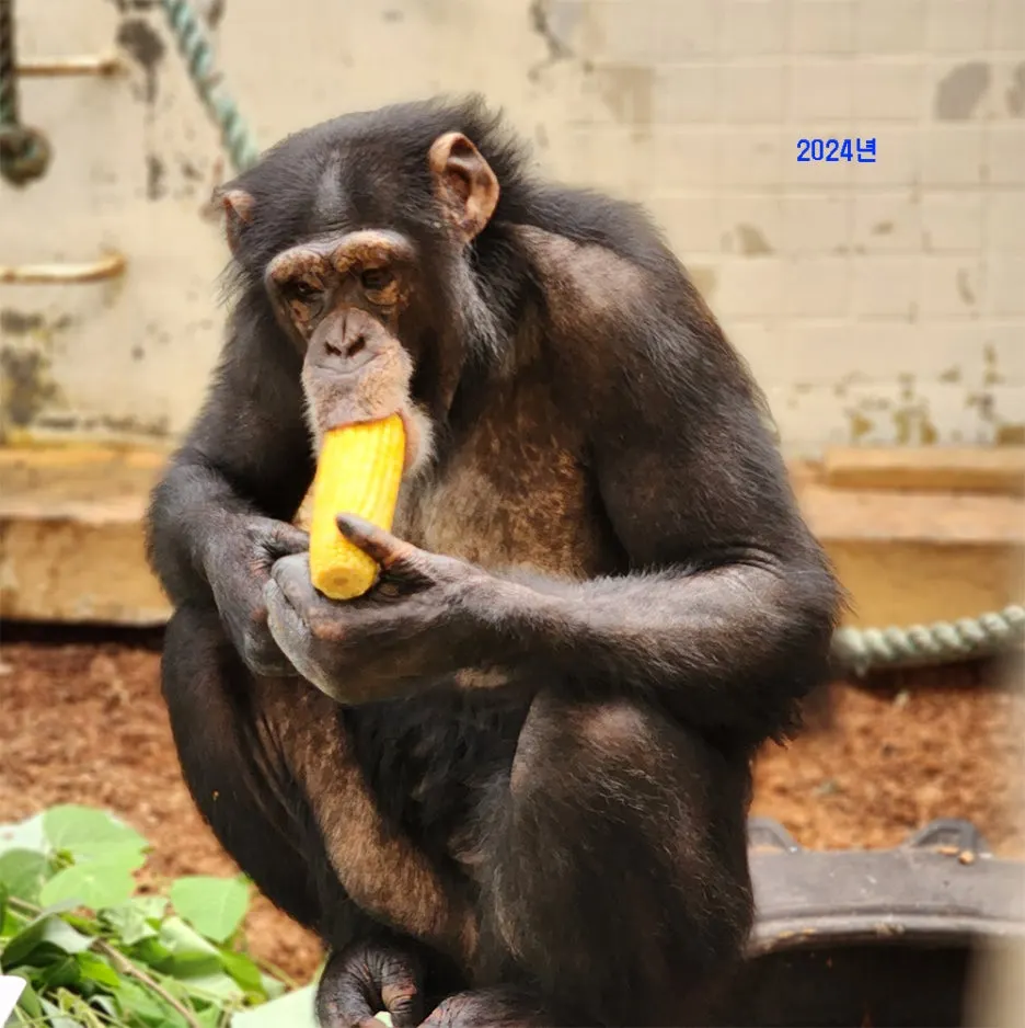 2024_%EA%B4%80%EC%88%9C%EC%9D%B4.jpg?type=w1