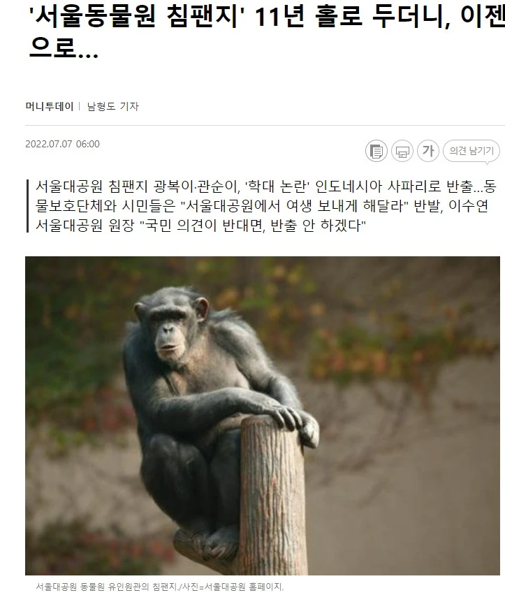 1머니투데이_광복이관순이반출반대기사_220707.JPG