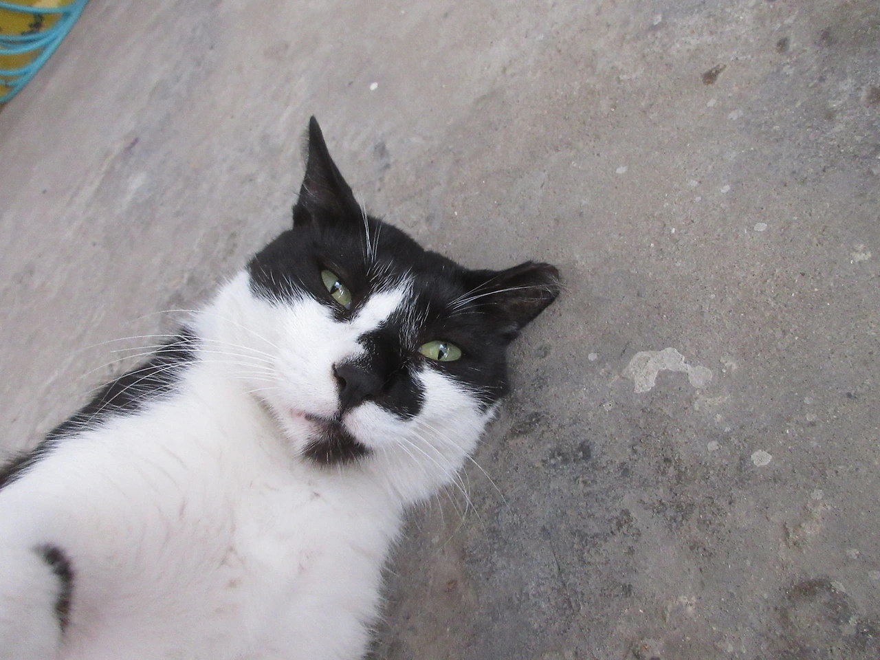 1더워_은애230716_2 (10).JPG