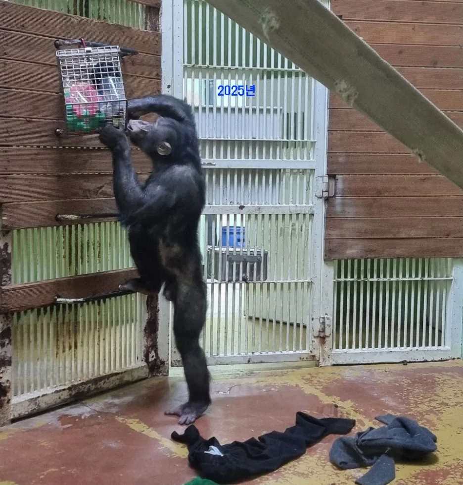 2025%EB%85%84%EA%B4%91%EB%B3%B5%EA%B4%80%EC%88%9C%EC%9D%B42.jpg?type=w1