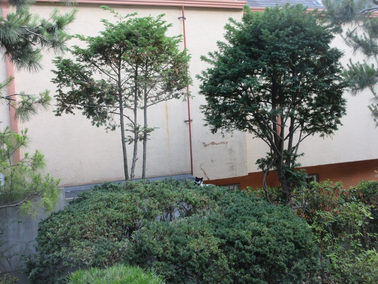 1주목_은애_가뭄_220611 (49).JPG