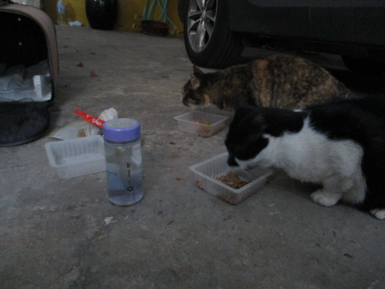 은애_밥2_221011 (9).JPG