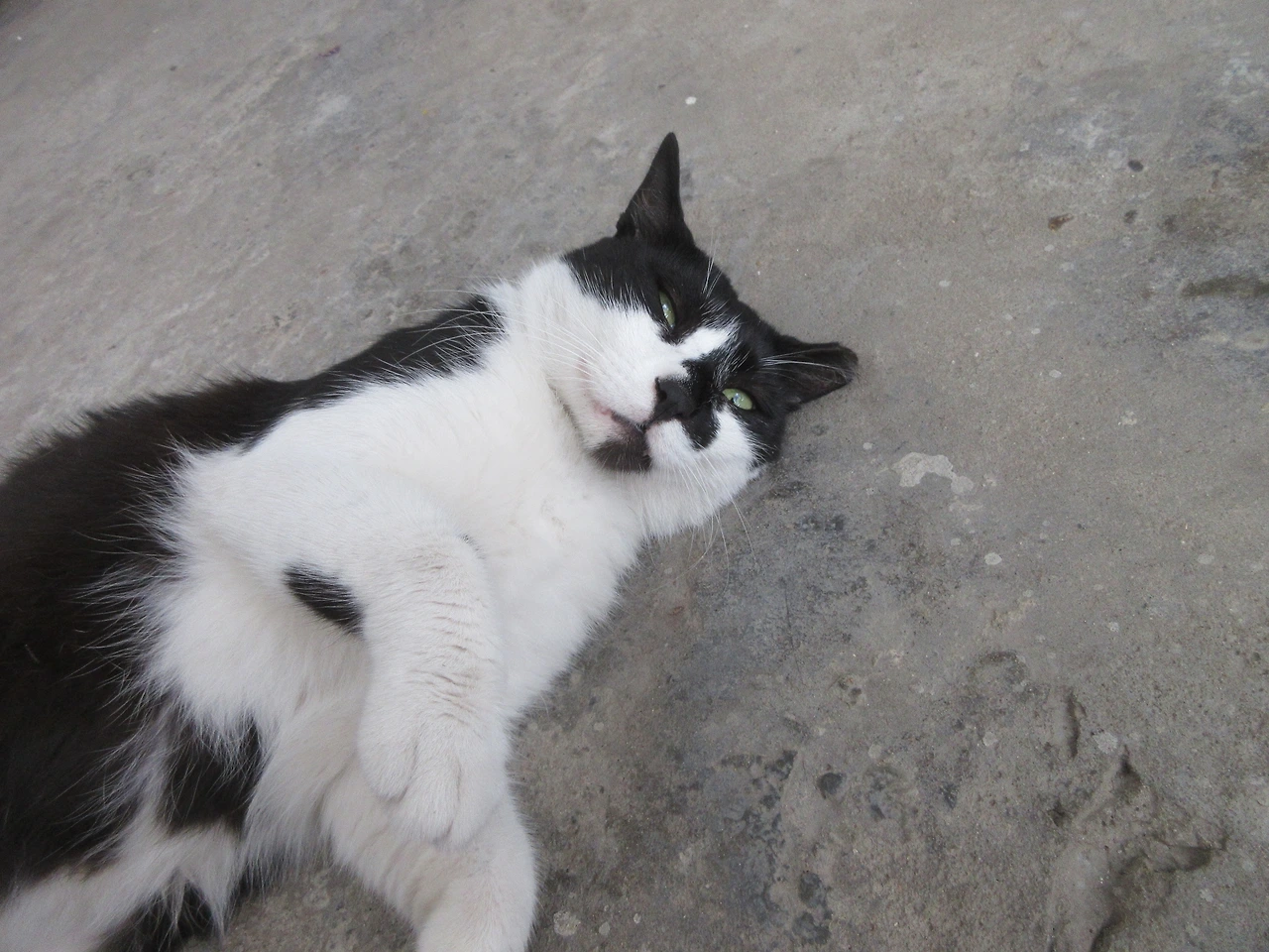 1더워_은애230716_2 (12).JPG