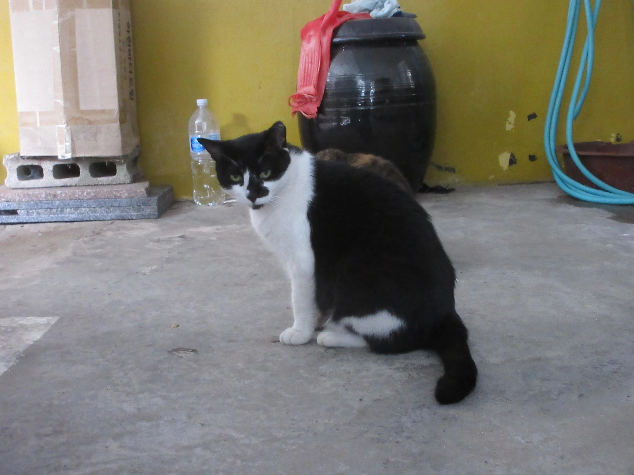 은애_밥_2220830 (4).JPG