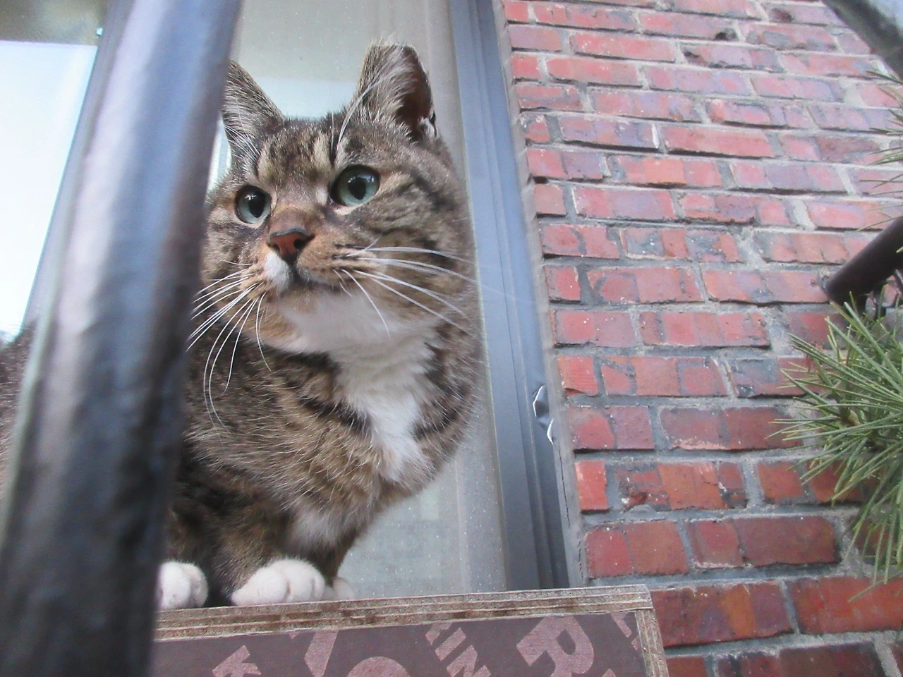 1_은애_목걸이_마당_240311 (46).JPG