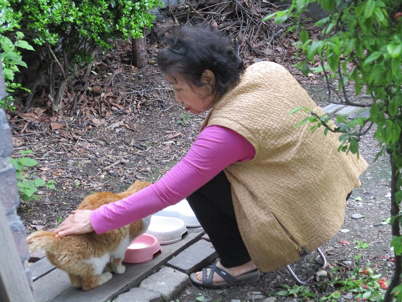 1노랑4_엄마랑노랑이4_180502 198.JPG