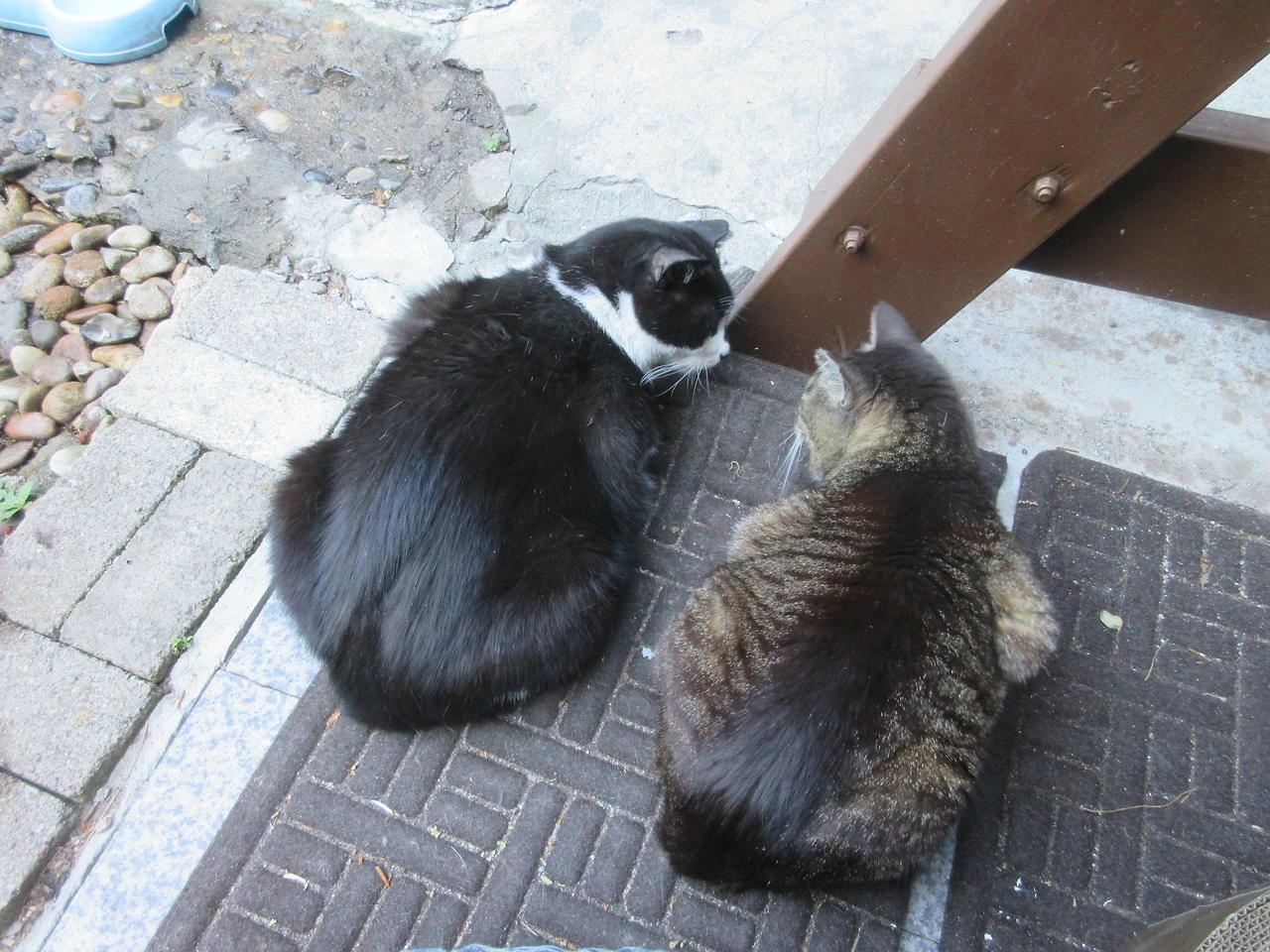 1_은애_묵걸이_사이가4_240612 (4).JPG