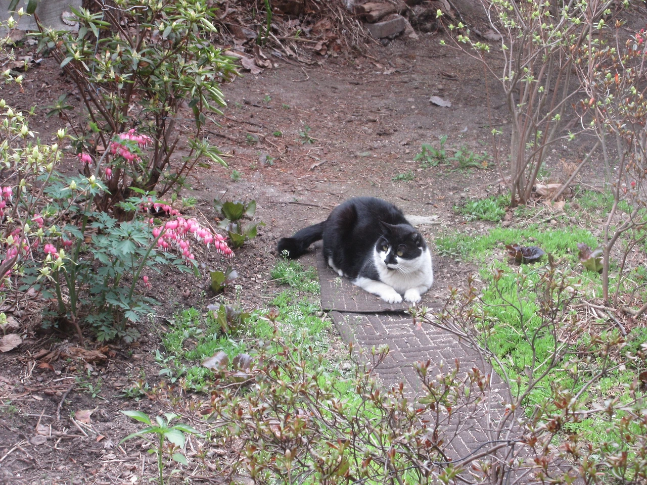 1_[SHANA]은애_혼자서도잘놀아요_은애_찡이마당_240408 (191).JPG