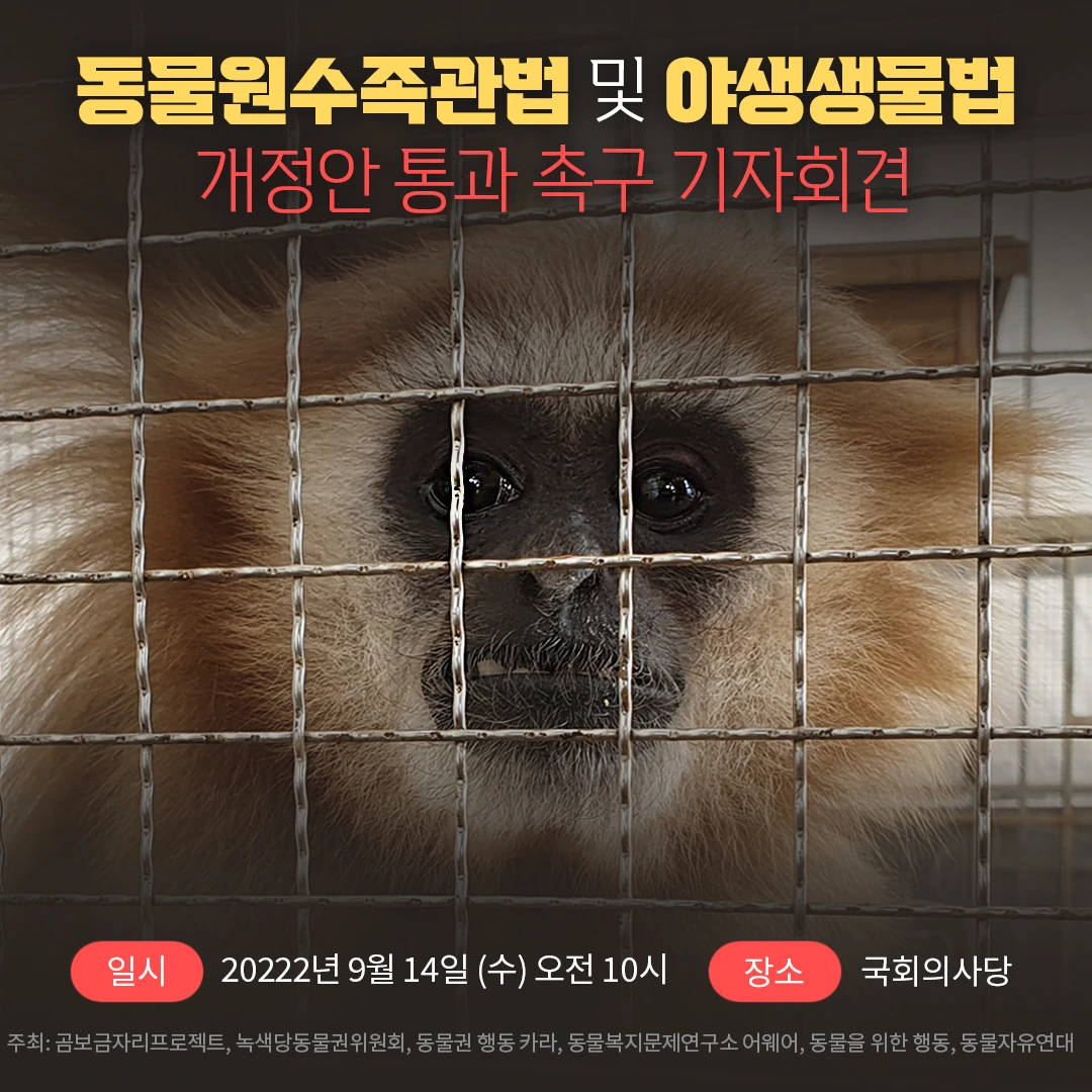 KakaoTalk_Photo_2022-09-13-20-24-34 002.jpeg