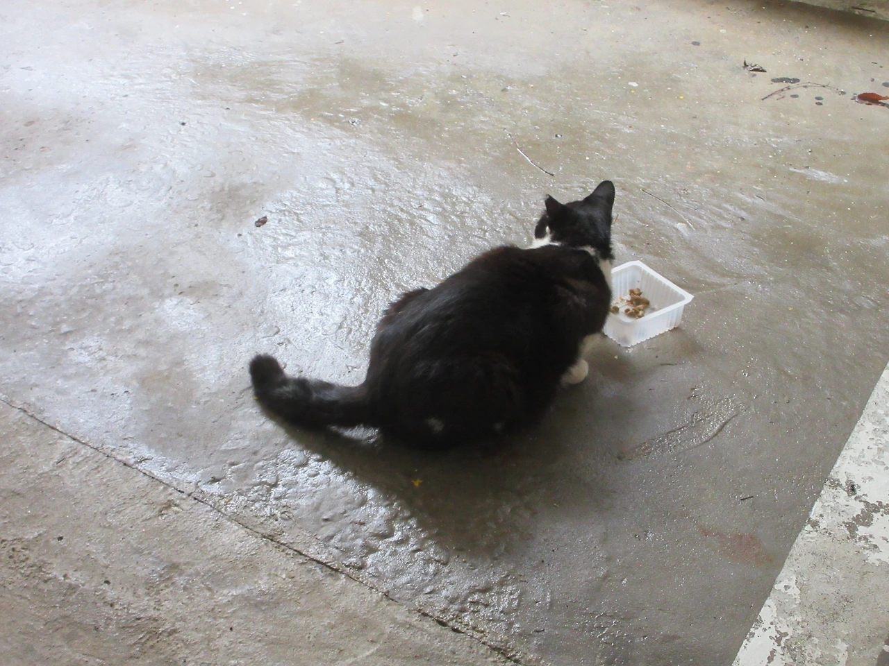 집중호우_은애_작은귀3_축대붕괴_220701 (15).JPG