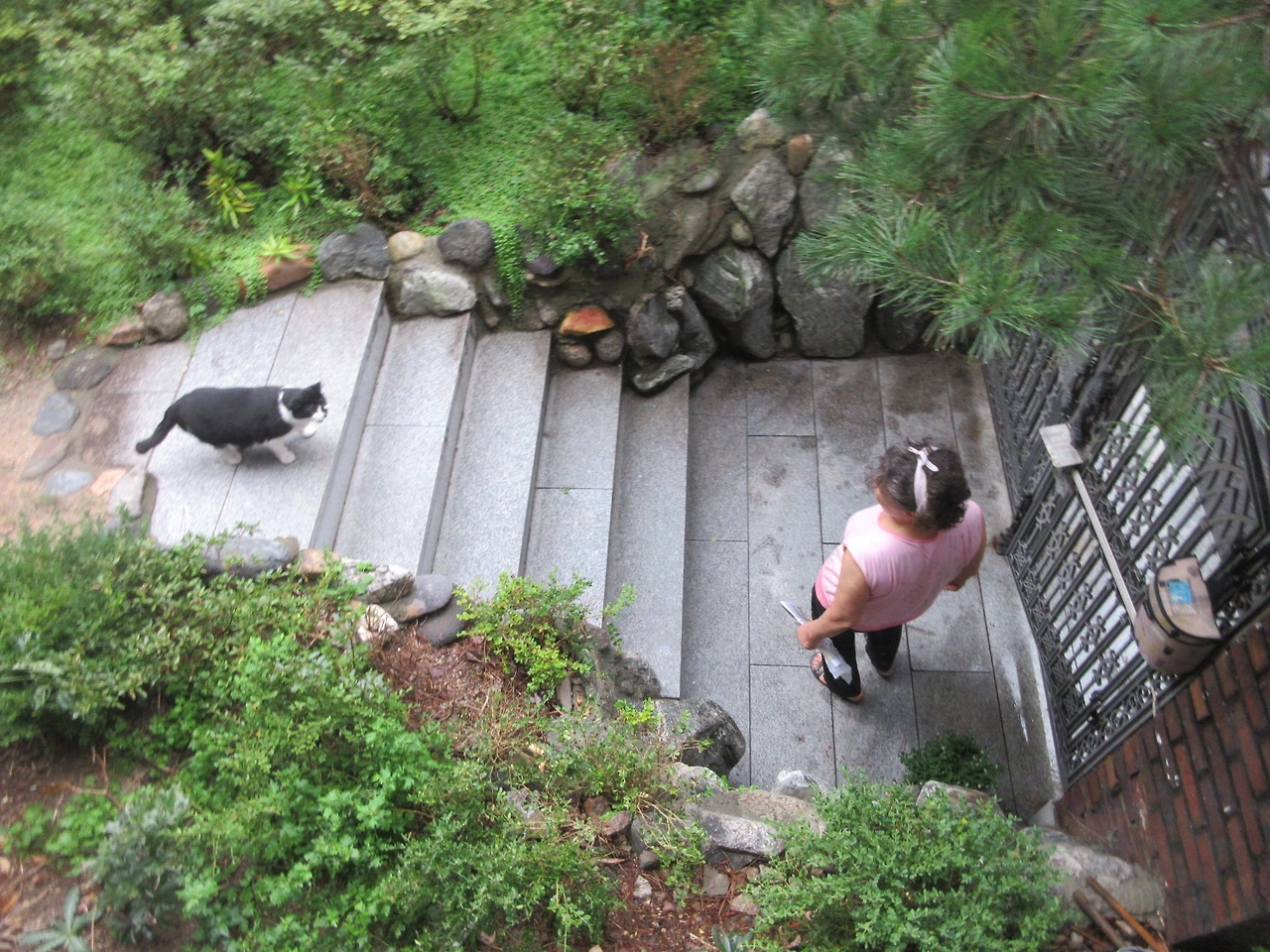 1은애_집_문열어1_220917 (38).JPG