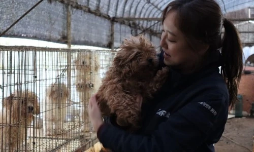 cd16053106.JPG%22&type=ff500_300