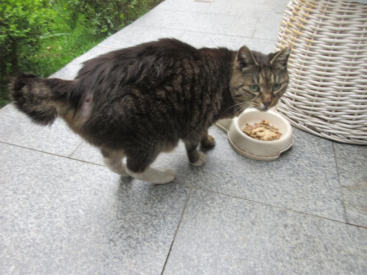 목걸이_궁디_땜빵_220412 (59).JPG