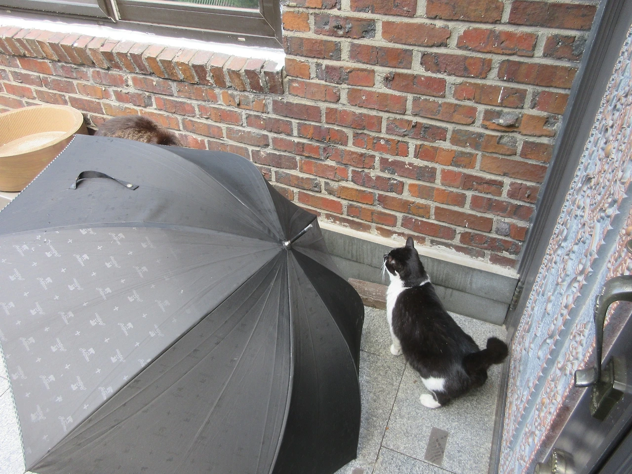 1_은애_목걸이_우산240512 (254).JPG