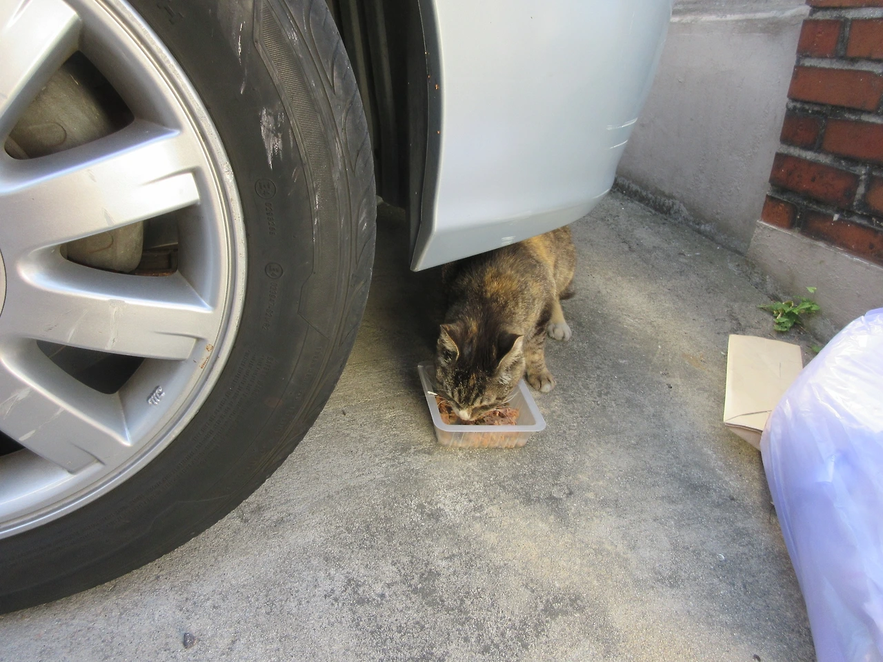 은애_작은귀_빌라공사2_220604 (13).JPG