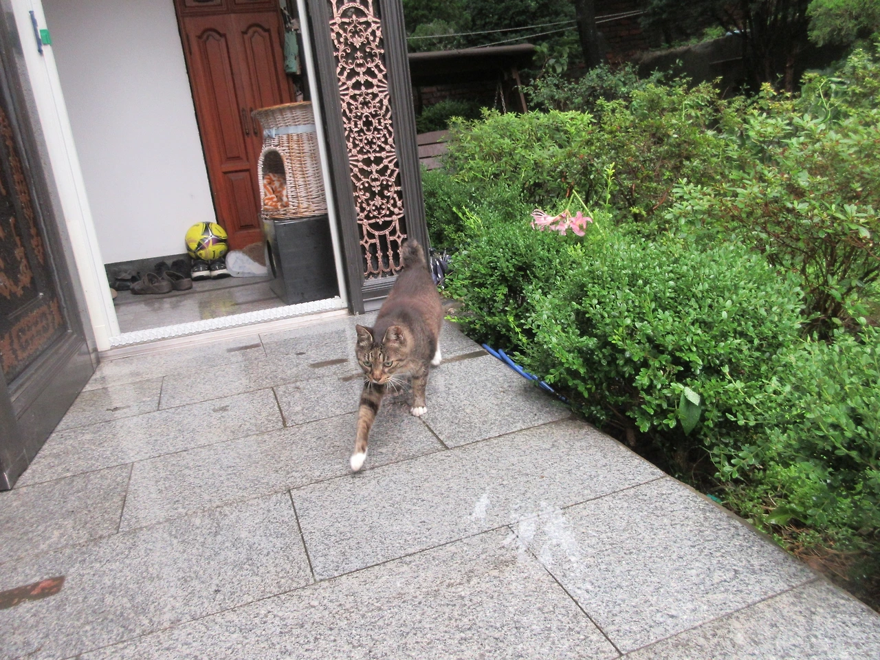 폭우_목걸이_220809 (2).JPG