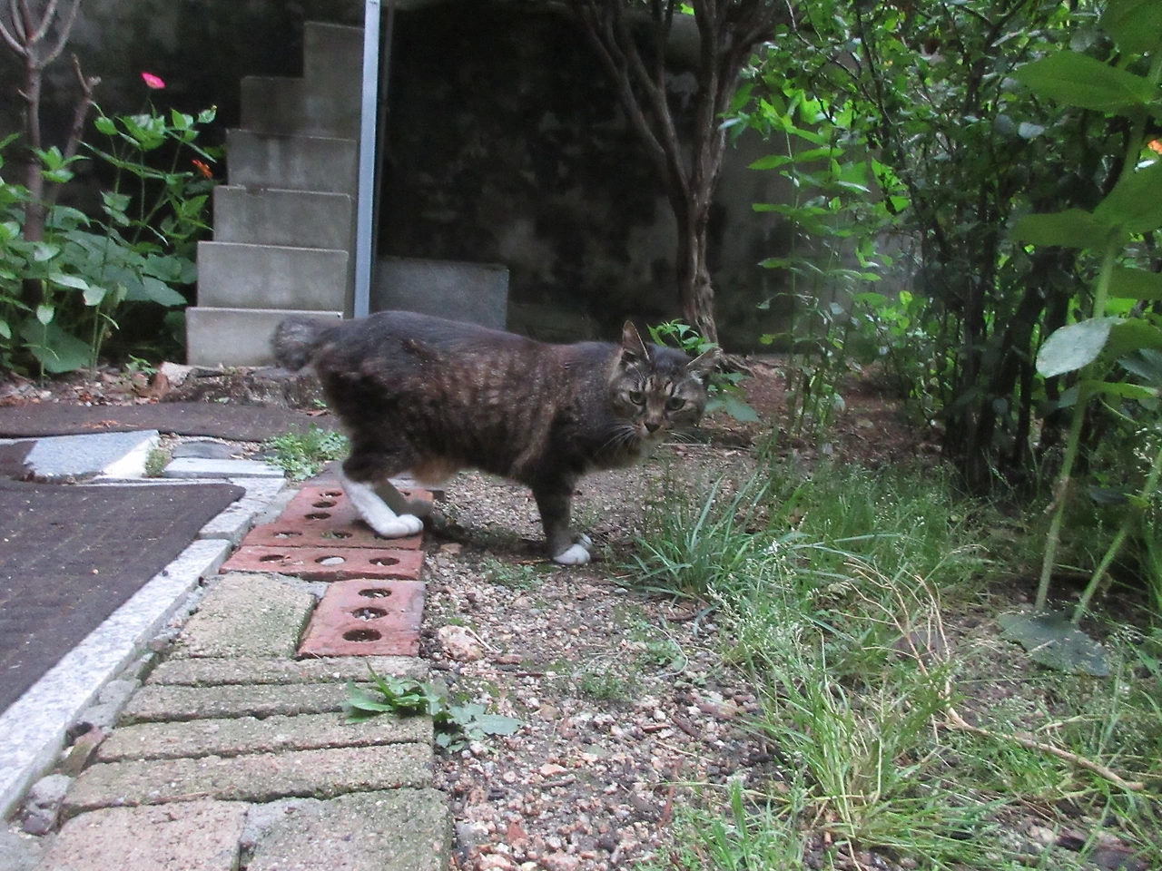 1_목걸이_은애_장마3_240706 (5).JPG