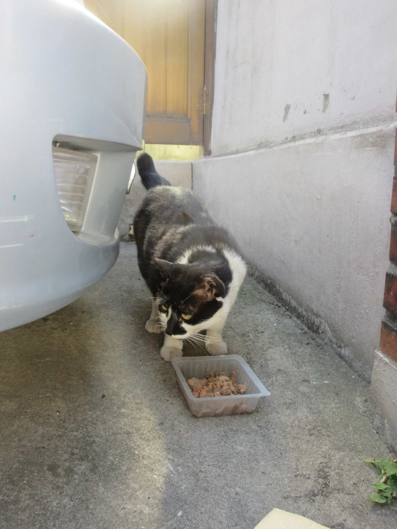 은애_작은귀_빌라공사1_220604 (23).JPG