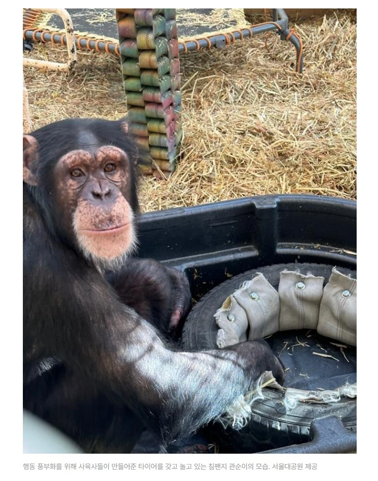 1_2309현황2_Screenshot 2023-09-23 at 20.34.31.JPG