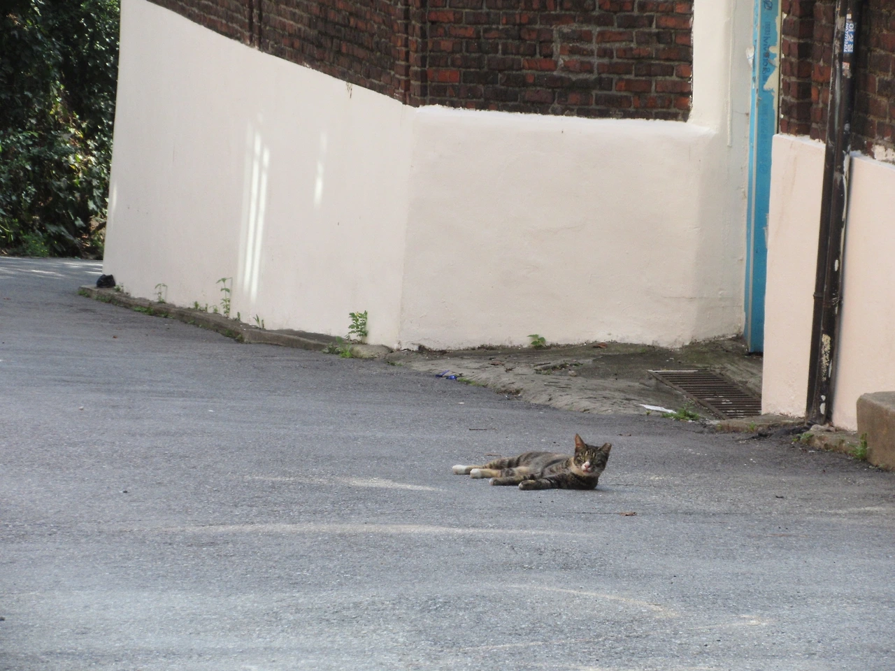 1작은귀_겨울집1_180902 016.JPG