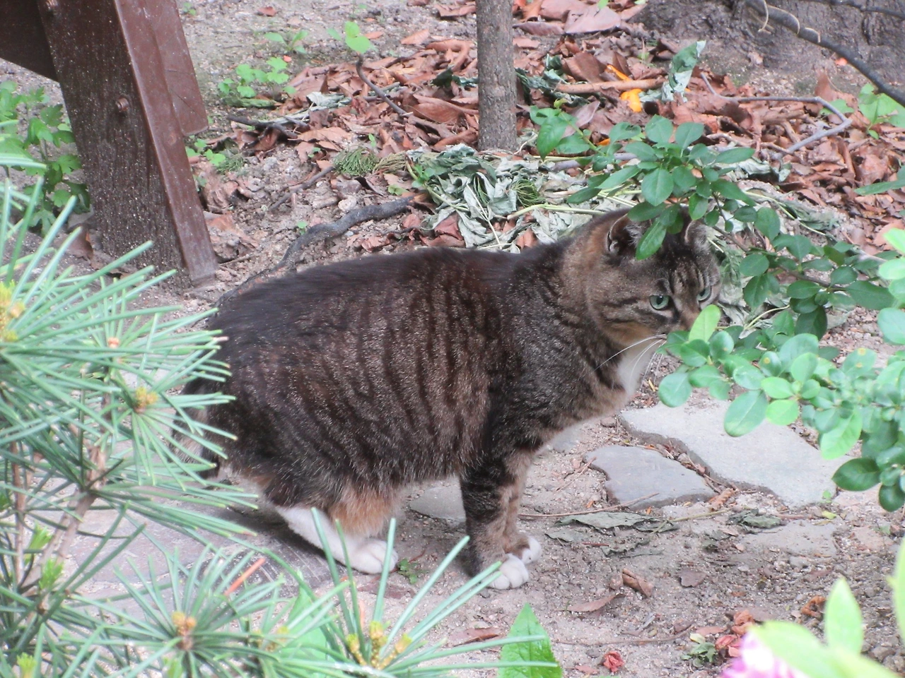 목걸이_왜_220510 (21).JPG