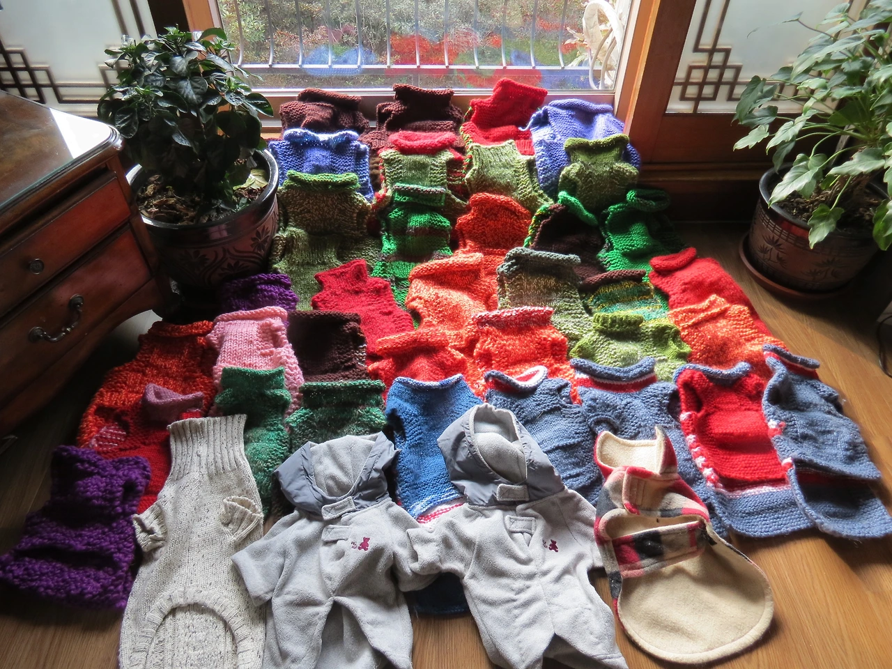 1리마님3_161115 003.JPG