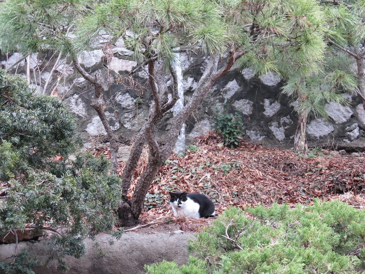 1은애_집들어오자1_220327 (23).JPG