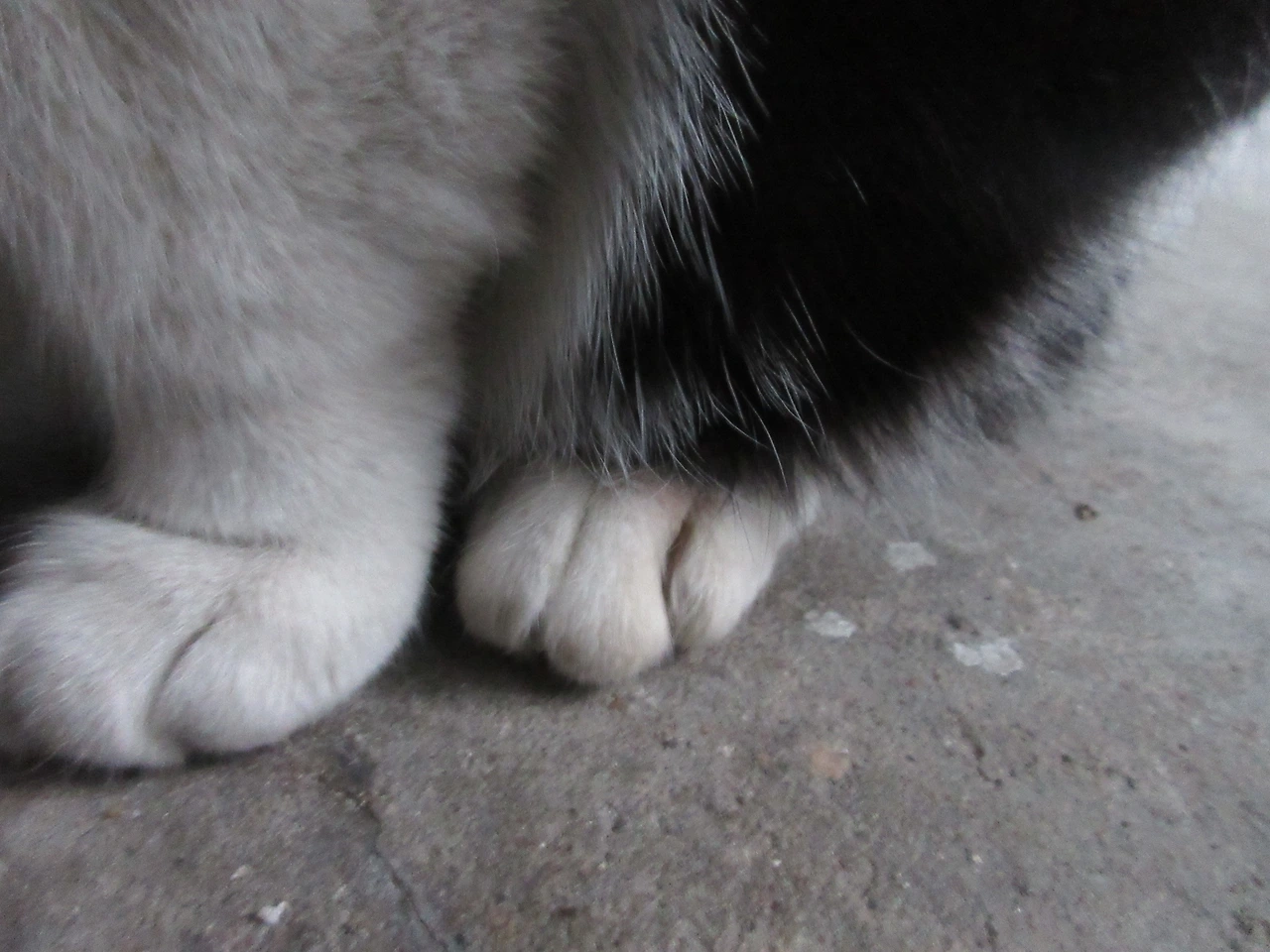 1_은애_발3_221201 (1).JPG