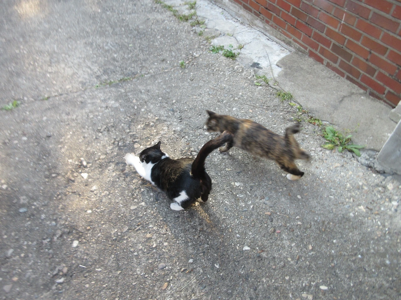 은애_작은귀_이른저녁밥_221019 (168).JPG