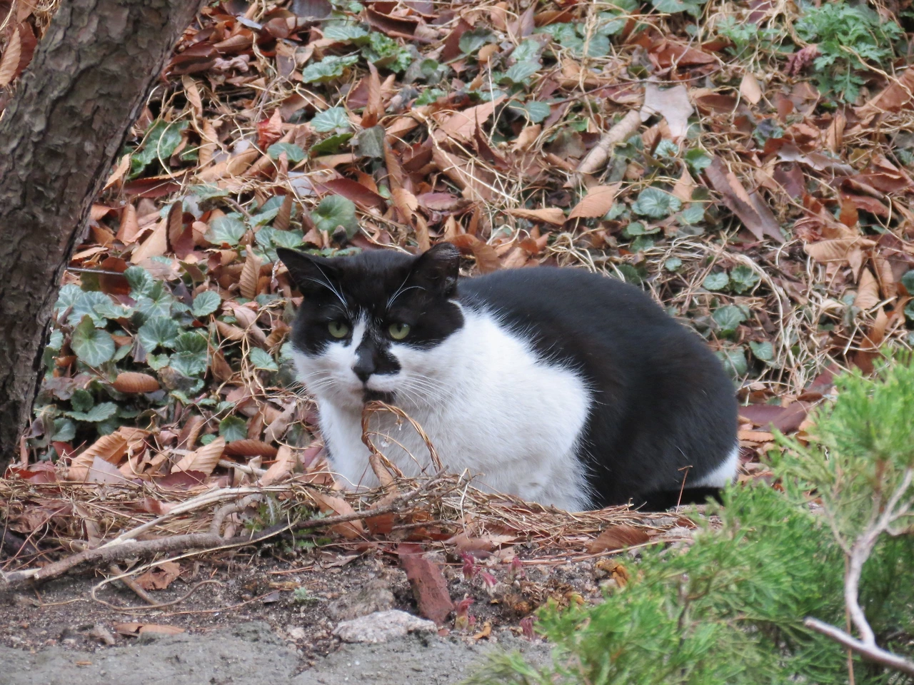 1은애_집들어오자2_220327 (25).JPG