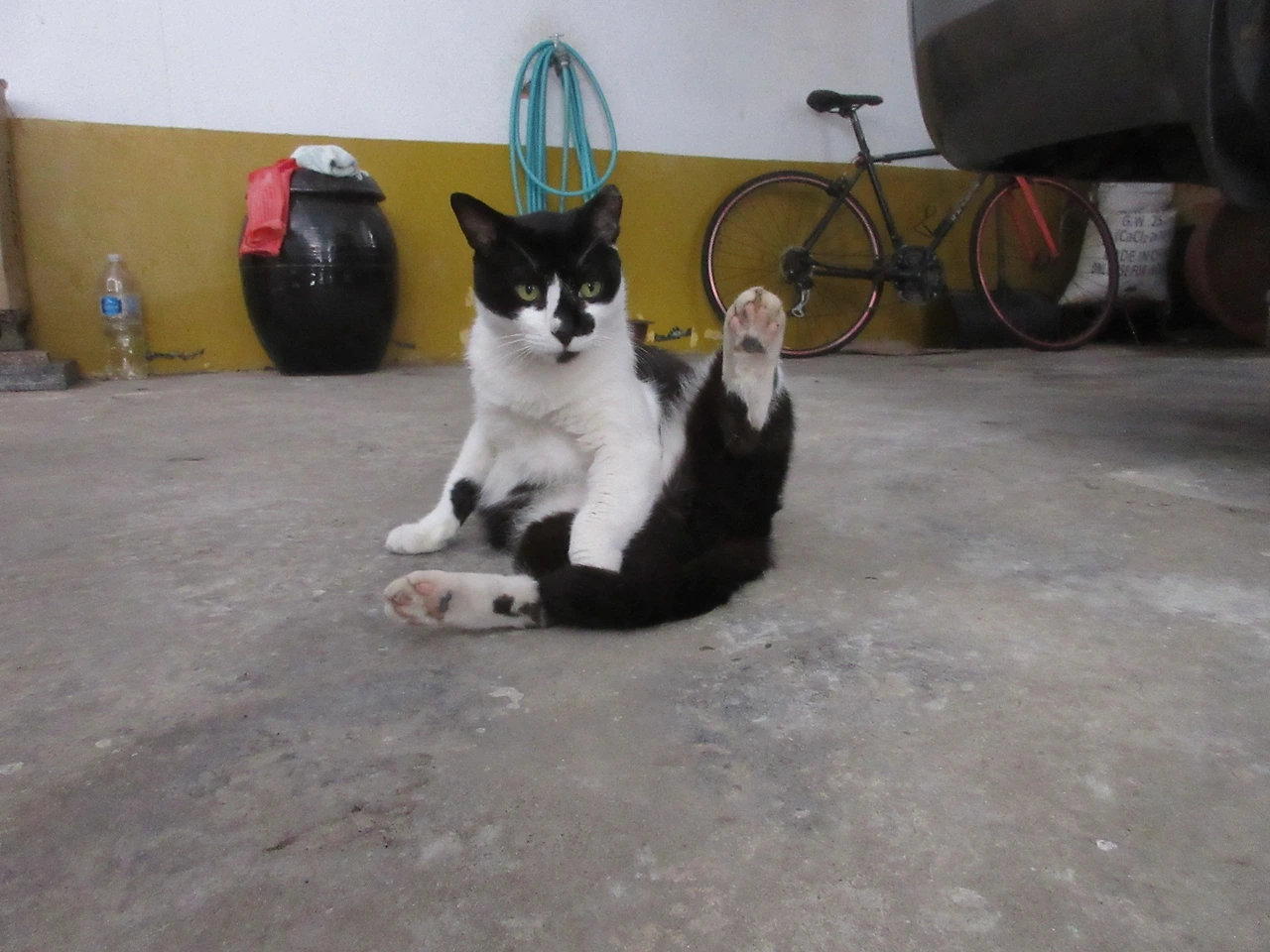 은애_무서웠지4_220713 (150).JPG