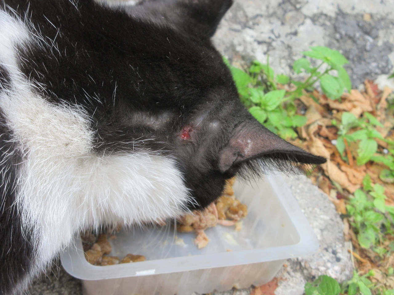 목걸이_싸웠어4_은애-작은귀__220606 (130).JPG