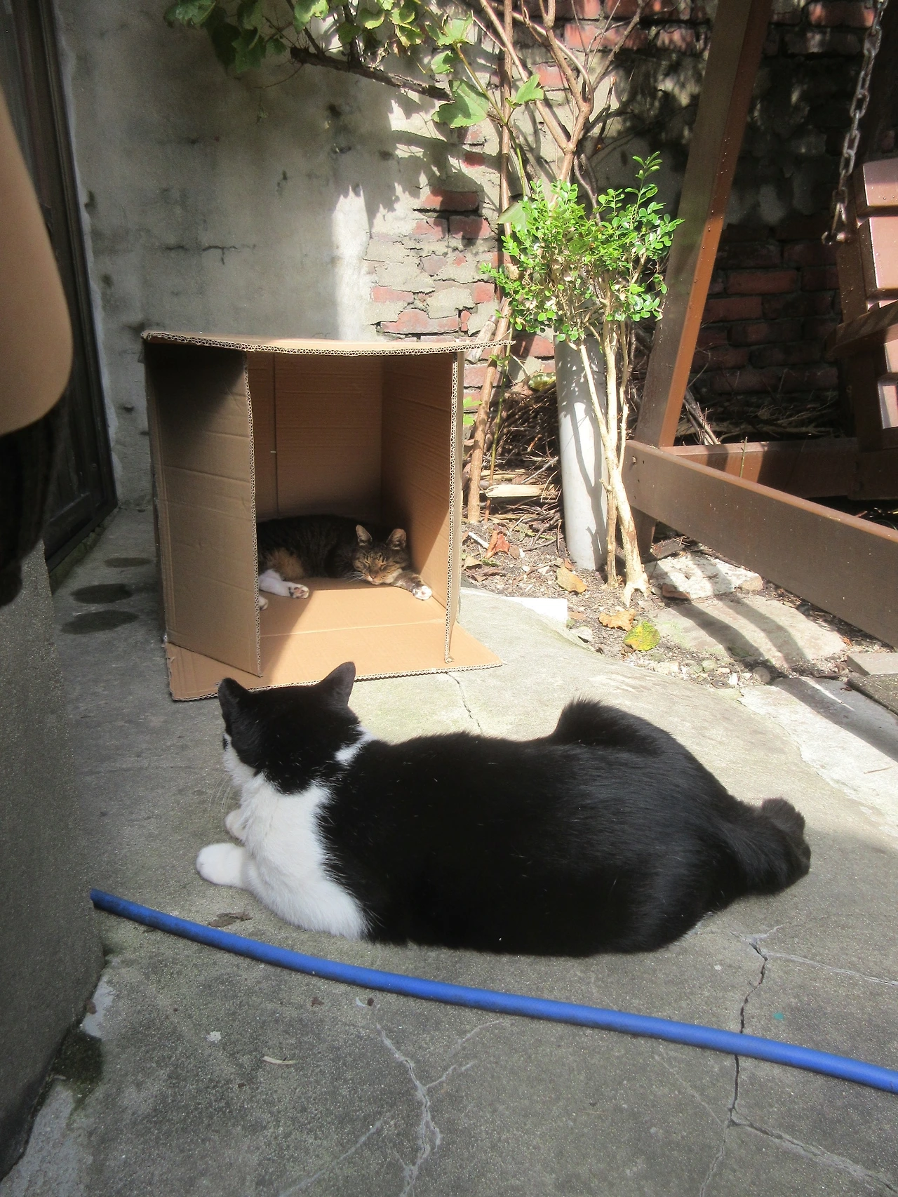 1_251027_은액목걸이박스1 (17).JPG