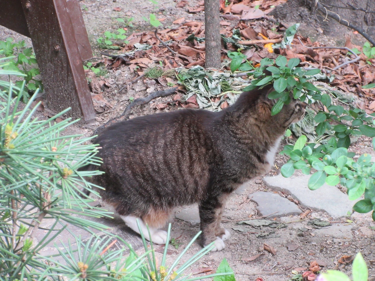 목걸이_왜_220510 (24).JPG