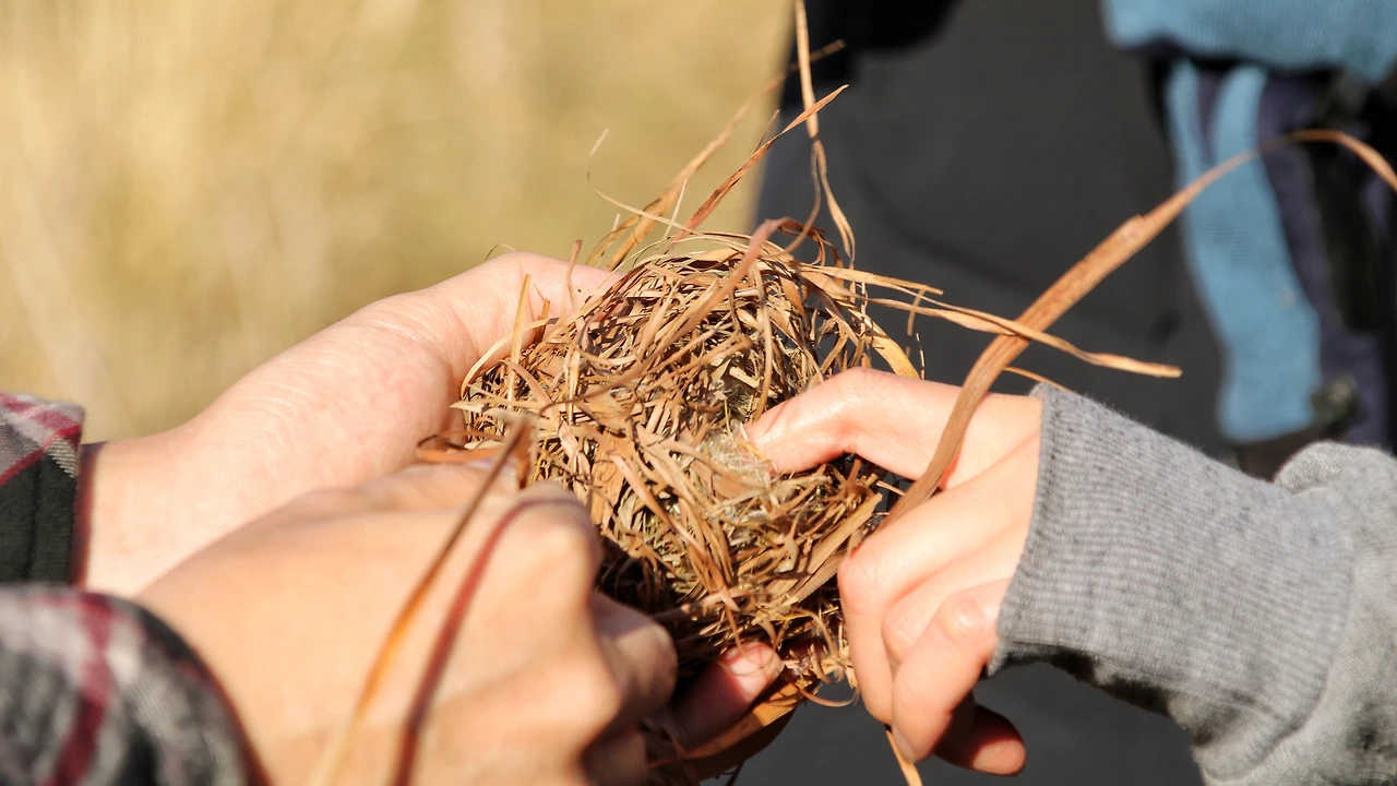 사진12021-12-04 (26).jpeg