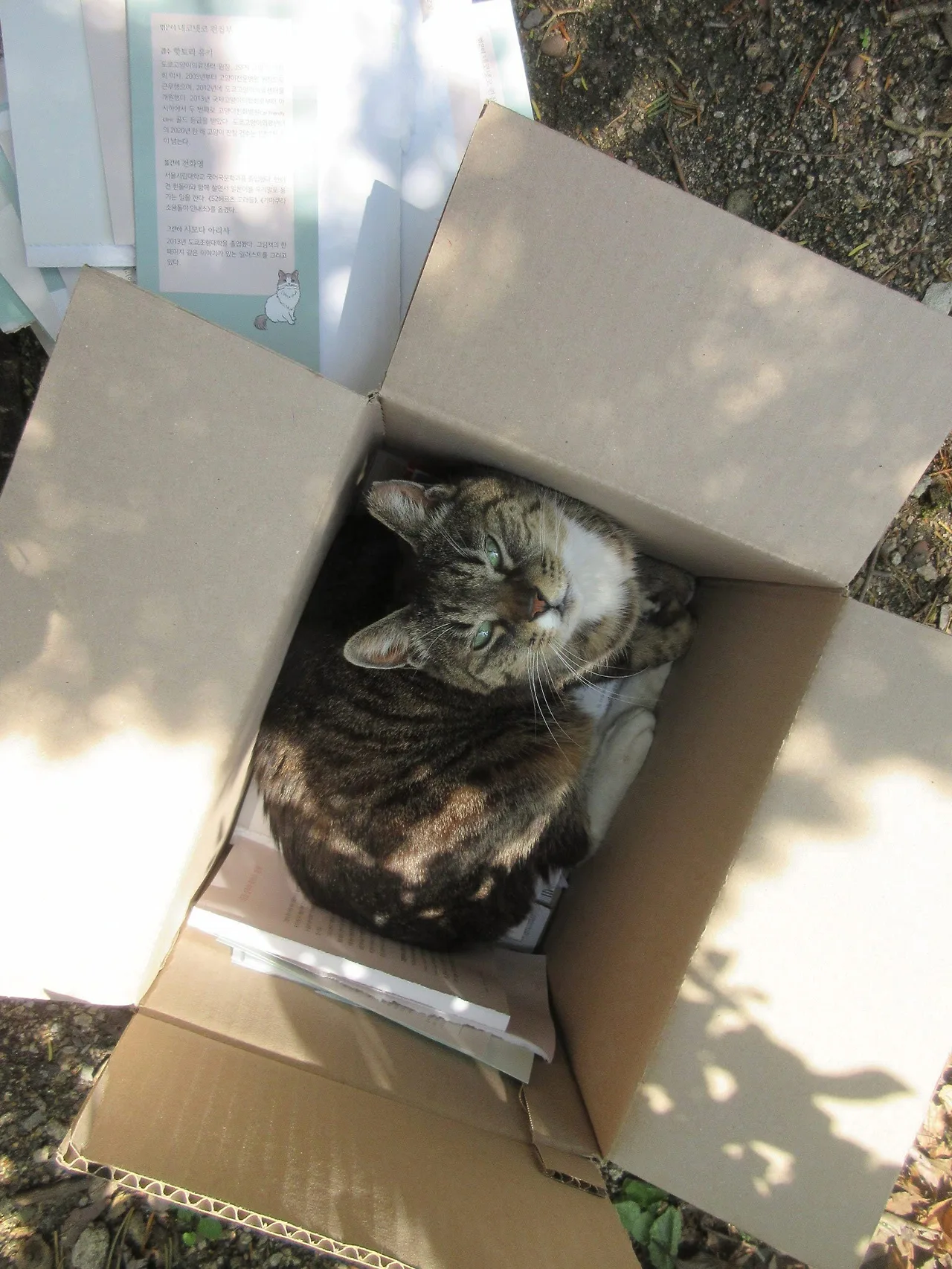 1목걸이3_고양이손_230505 (94).JPG