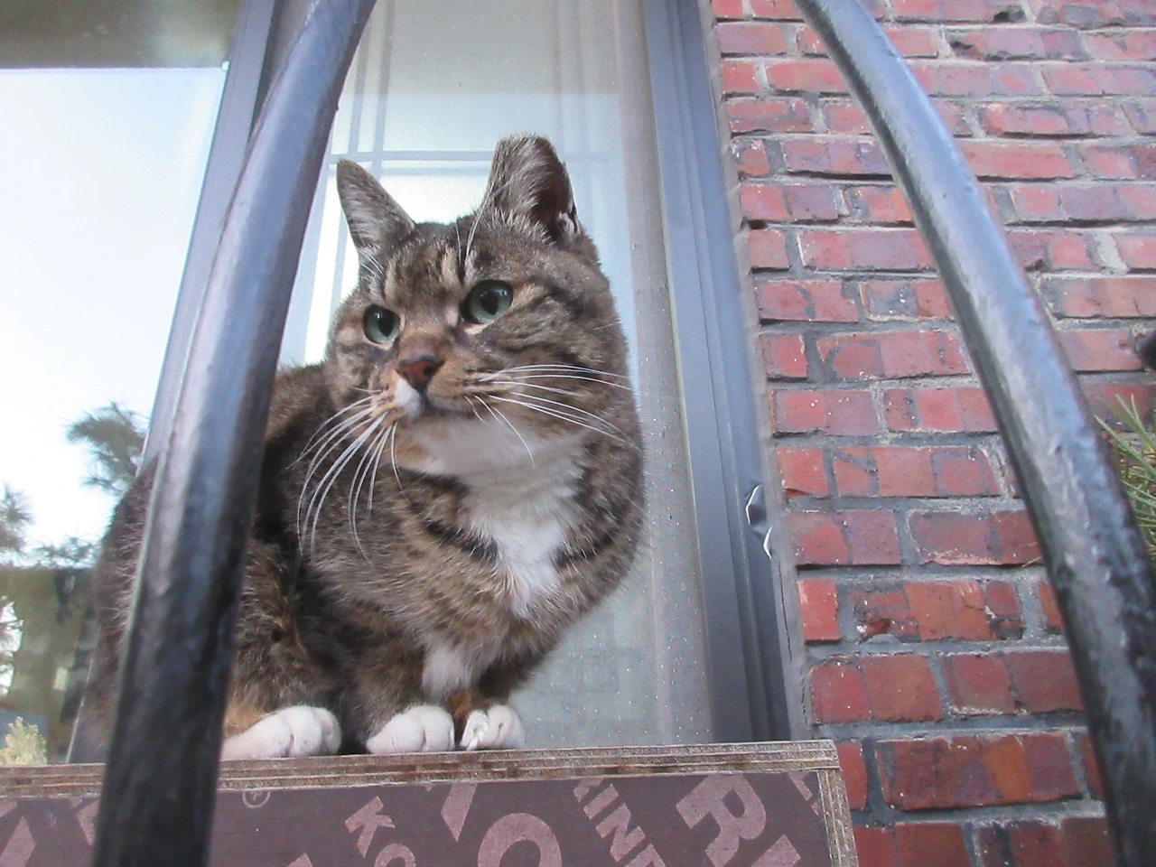 1_은애_목걸이_마당_240311 (49).JPG