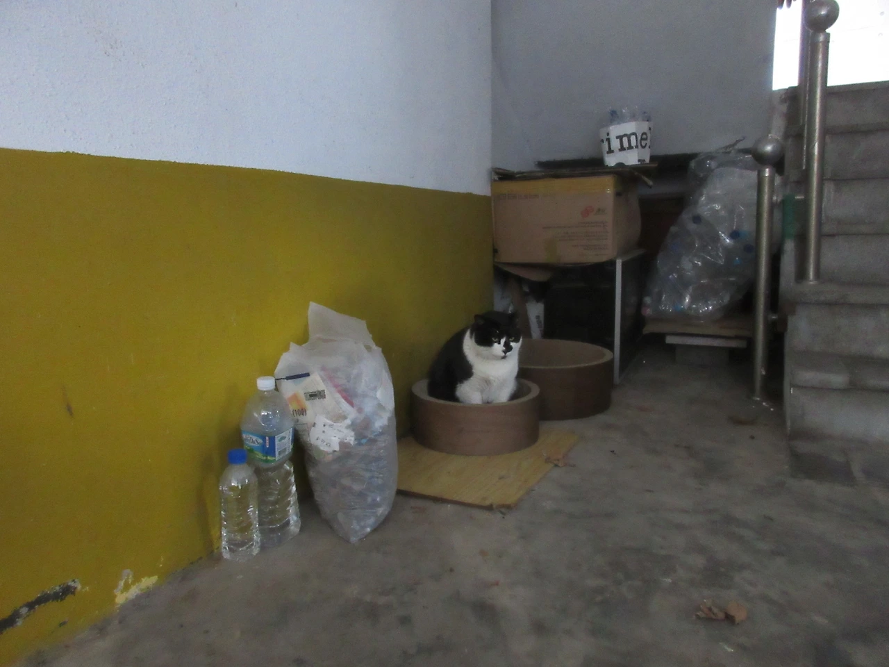 1_작은귀_은애_춥지영하15도_240122 (266).JPG