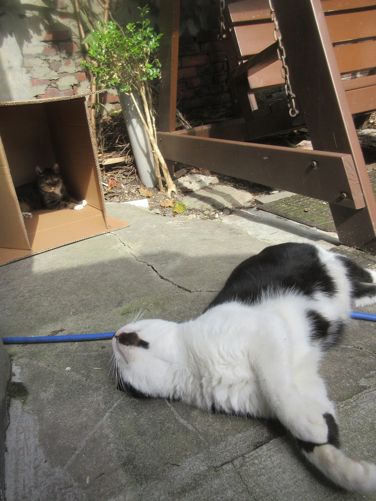 1_251027_은액목걸이박스2 (11).JPG