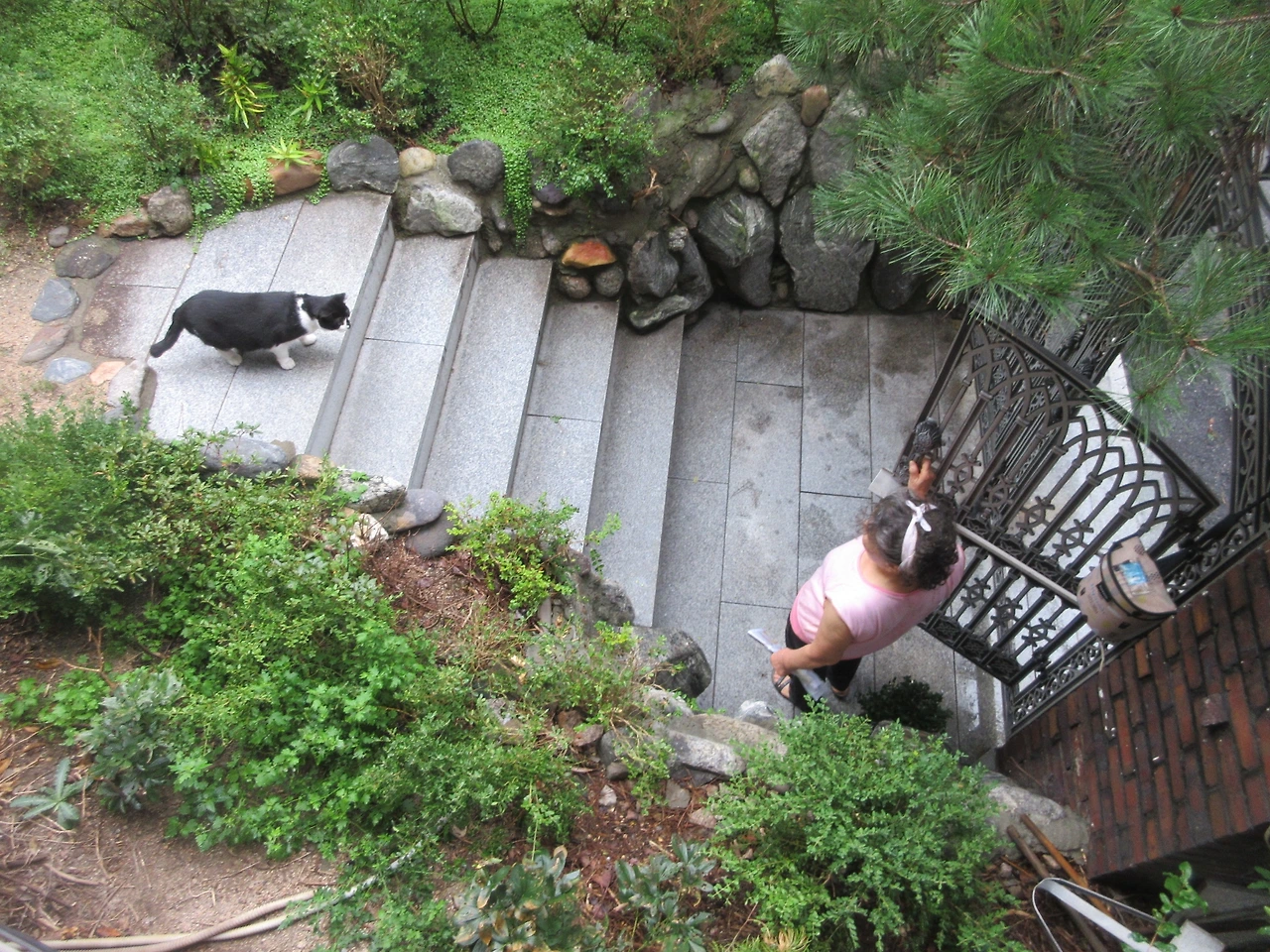 1은애_집_문열어3_220917 (42).JPG